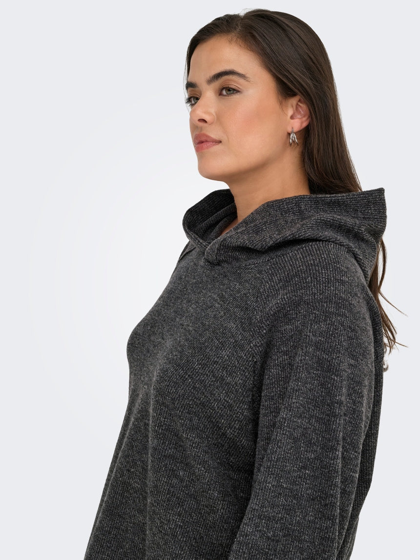 Carbizzy Hoody