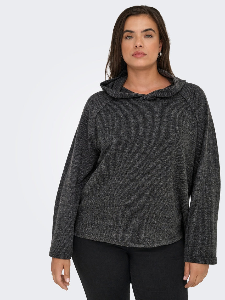 Carbizzy Hoody