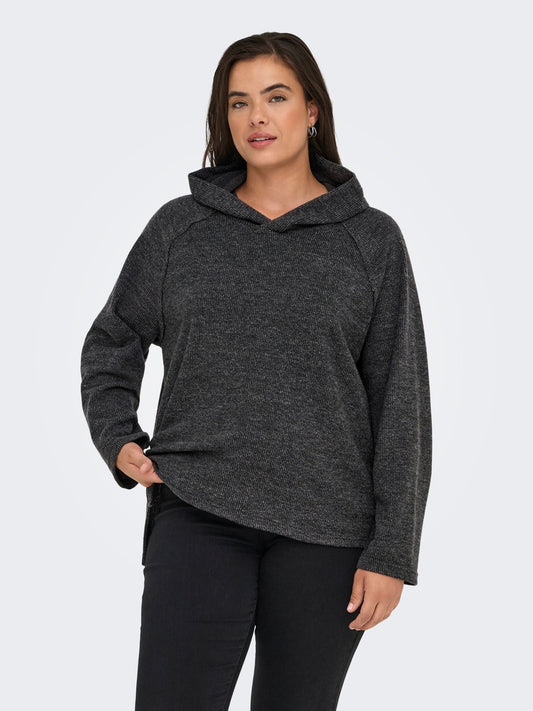 Carbizzy Hoody
